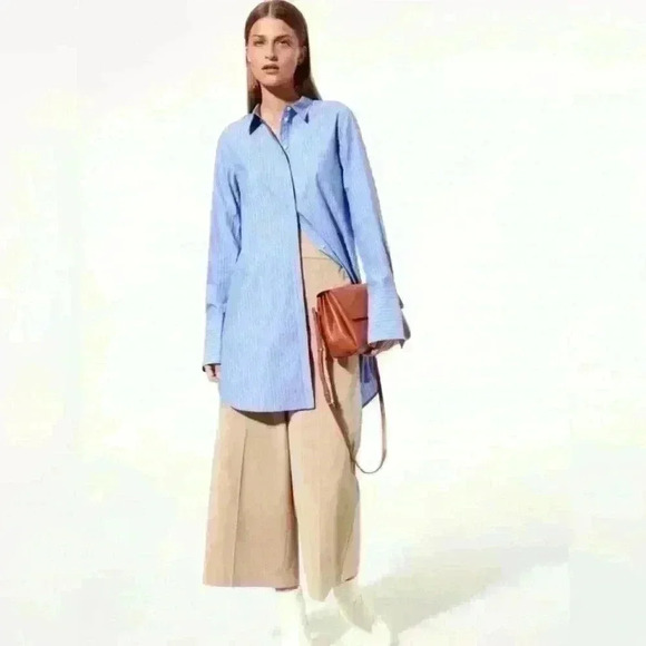 Aritzia Babaton Blue White stripes Carleton Poplin Shirt Dress Tunic size M - Picture 2 of 13